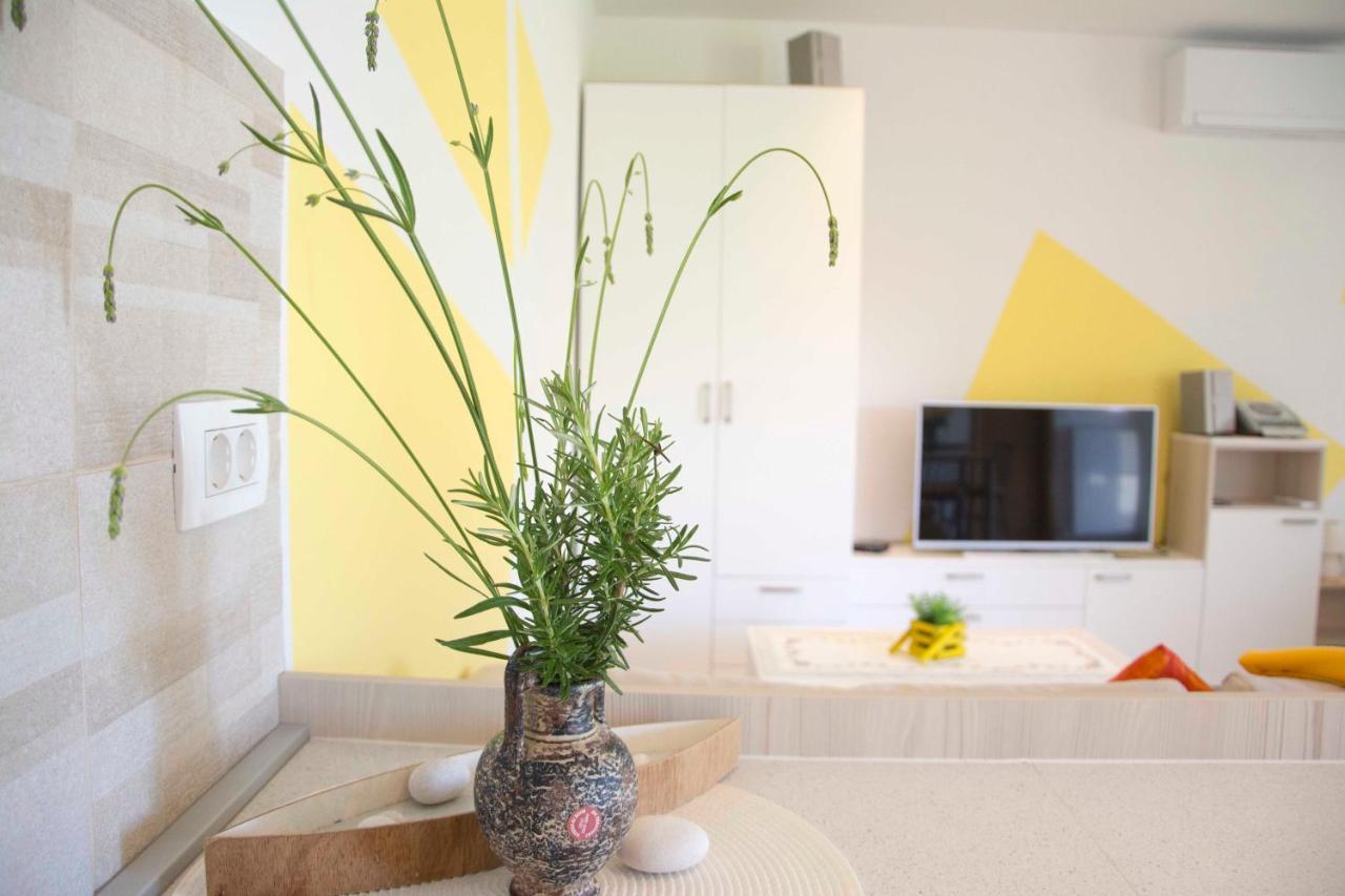 Vila Palma - App Palma & Room Figa Ankaran Exteriér fotografie