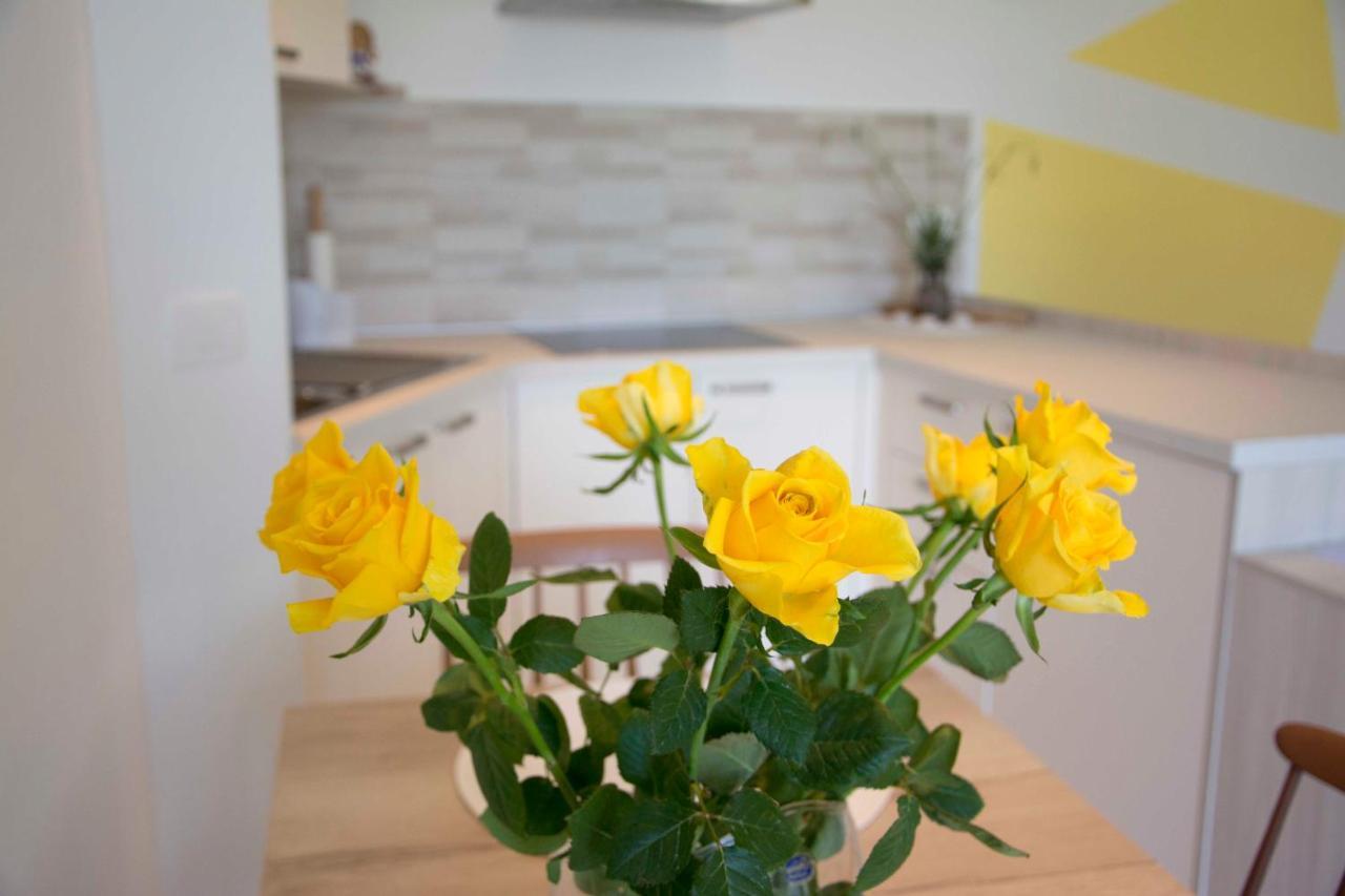 Vila Palma - App Palma & Room Figa Ankaran Exteriér fotografie